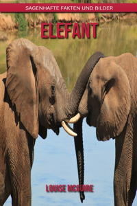Elefant