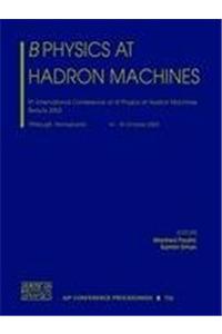 B Physics at Hadron Machines