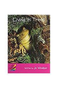 Rus Living In Trees - Sails Eme Nf