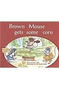 Brown Mouse Gets Some Corn