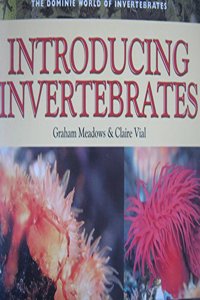 Introducing Invertebrates