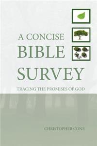 A Concise Bible Survey