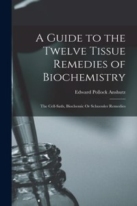 Guide to the Twelve Tissue Remedies of Biochemistry