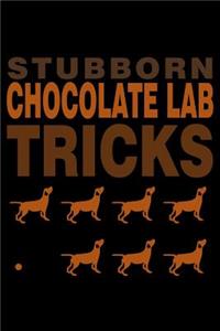 Stubborn Chocolate Tricks