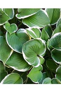 School Composition Book Deep Green Hosta Leaves