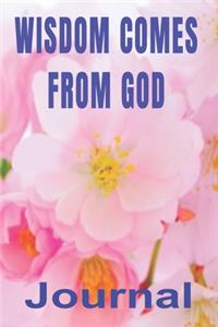 Wisdom Comes from God
