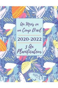 3 An Planiﬁcateur Agenda 2020-2022 Un Mois en un Coup D'oeil
