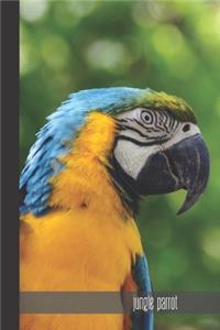 jungle parrot
