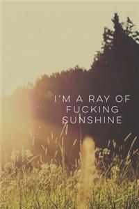 I'm a Ray of Fucking Sunshine