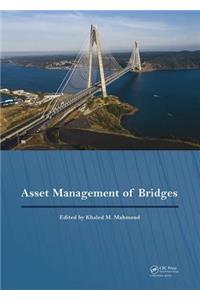 Asset Management of Bridges