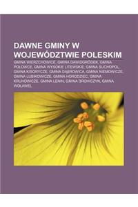 Dawne Gminy W Wojewodztwie Poleskim