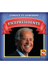 Vicepresidente (Vice President)