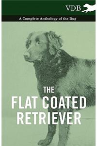 The Flat Coated Retriever - A Complete Anthology of the Dog