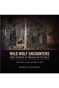 Wild Wolf Encounters