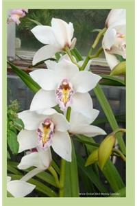 White Orchid 2014 Weekly Calendar
