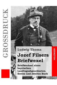 Jozef Filsers Briefwexel (Großdruck)