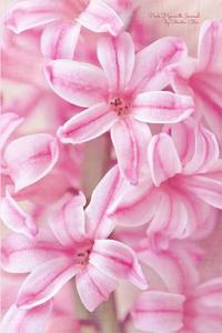 Pink Hyacinth Journal