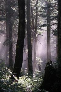 Forest in the Mist Nature Journal