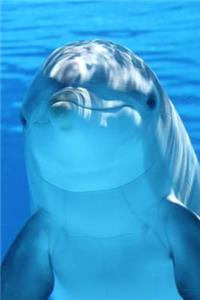 Cool Dolphin Portrait Marine Mammal Journal