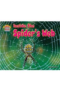 Inside the Spider's Web