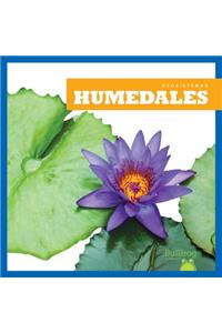 Humedales (Wetlands)