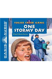 One Stormy Day (Library Edition)