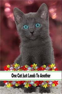 One Cat Just Leads To Another