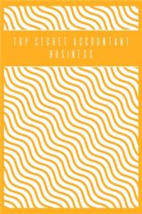 Top Secret Accountant Business