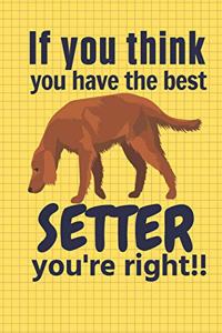 If you think you have the best Setter you're right!!: For Setter Dog Fans