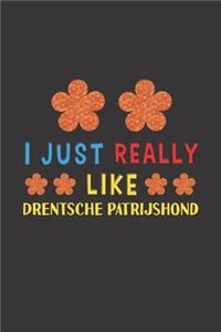 I Just Really Like Drentsche Patrijshond