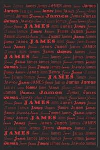 The perfect notebook journal for james