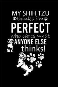 My Shih Tzu Thinks I'm Perfect Who Cares What Anyone Else Thinks!