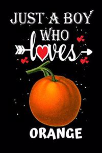 Just a Boy Who Loves Orange