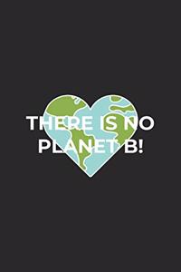 There is no Planet B