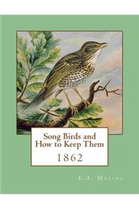 Song Birds and How to Keep Them