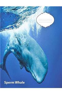 Sperm Whale College Ruled Line Paper Composition Book