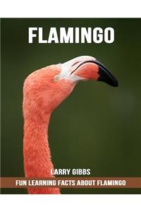 Fun Learning Facts about Flamingo