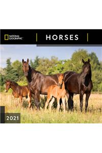 Cal 2021- National Geographic Horses Wall