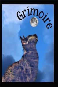 Witches DIY Black Cat Spell Journal