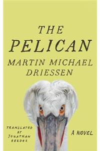 Pelican