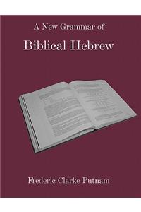 New Grammar of Biblical Hebrew