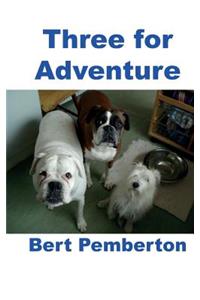 Three for Adventure