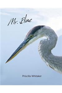 Mr. Blue