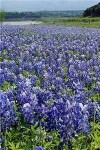 Huge Blue Bonnet Field Near Austin, Texas Journal: Take Notes, Write Down Memories in this 150 Page Lined Journal