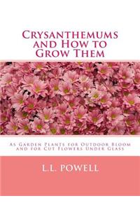 Crysanthemums and How to Grow Them