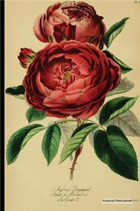 Botanical Print Journal