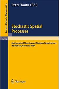 Stochastic Spatial Processes