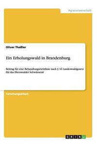 Erholungswald in Brandenburg