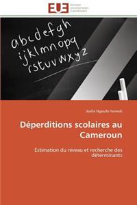 Déperditions Scolaires Au Cameroun