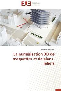 Numérisation 3D de Maquettes Et de Plans-Reliefs